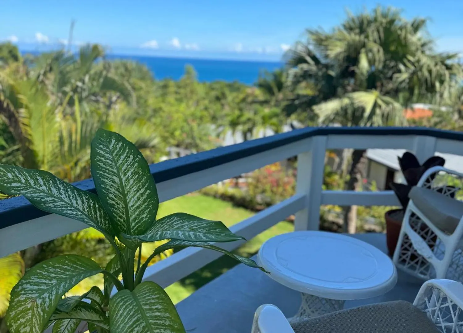 Catalina, Cabrera Oceanview Multi 2 Bd 2 Bath Condo Units With Balcony And Pool